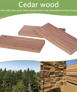 Cedar Gitizen.webp1