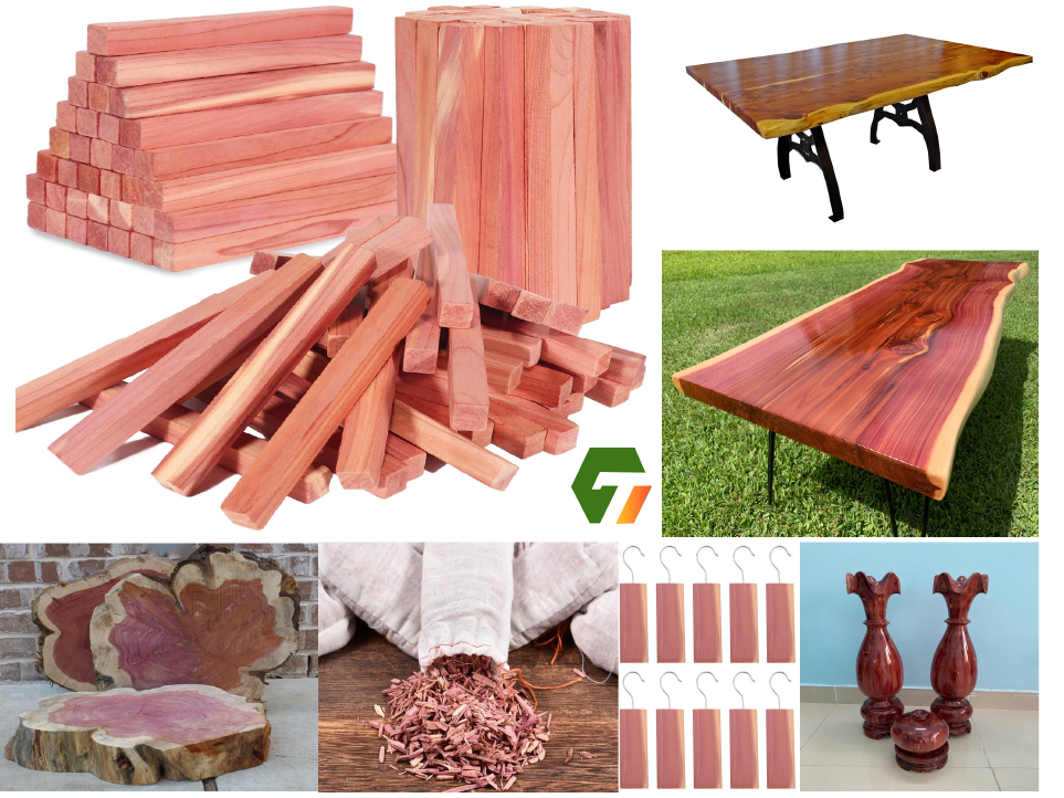 Cedar Gitizenweb 